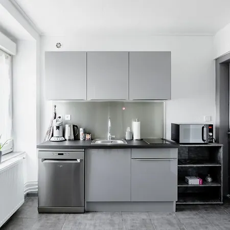 Myhome Basel Rc44b * Saint-Louis (Haut-Rhin)